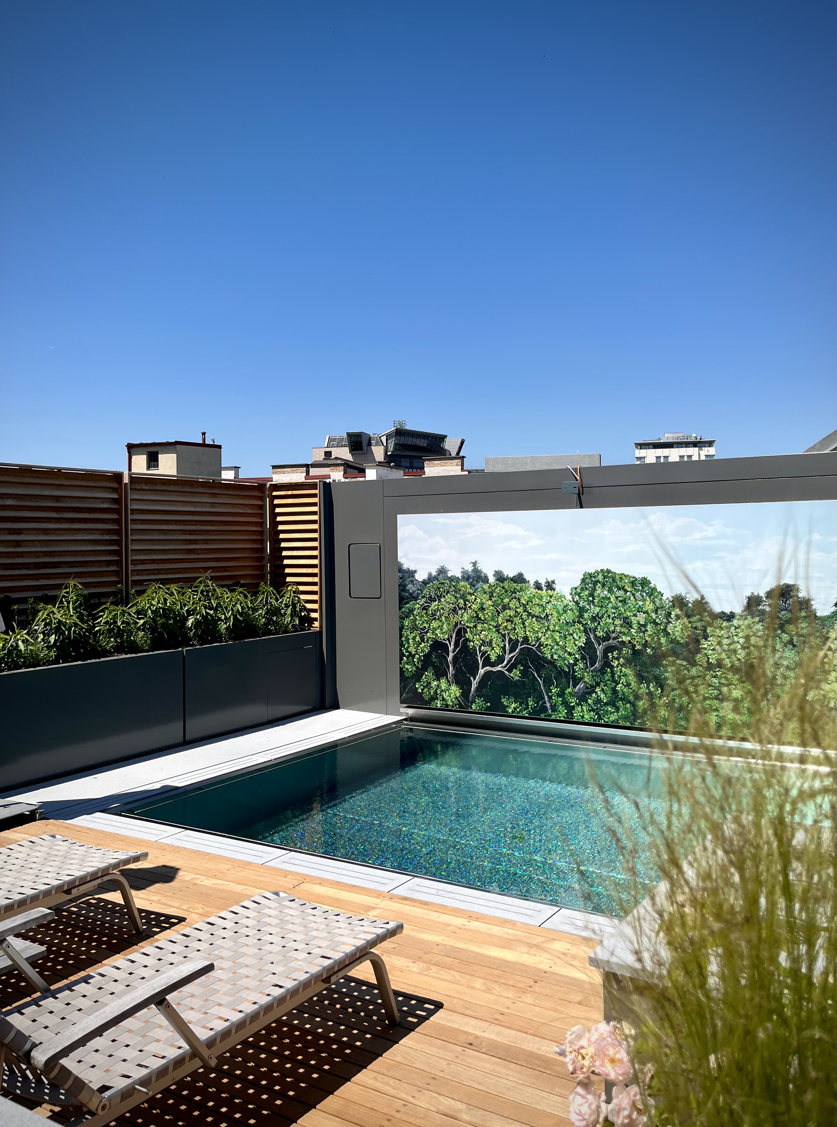 Rooftop Pool